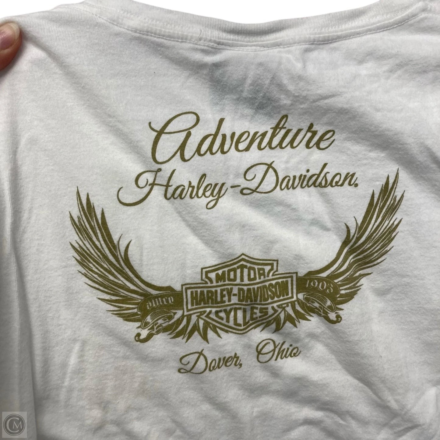 Top Short Sleeve Basic By Harley Davidson In White, Size: L