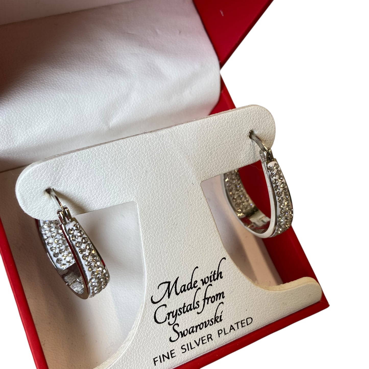 Earrings Hoop In Silver