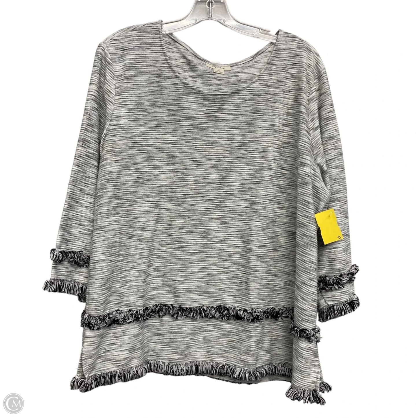 Top Long Sleeve By Style And Company In Grey, Size: Xl