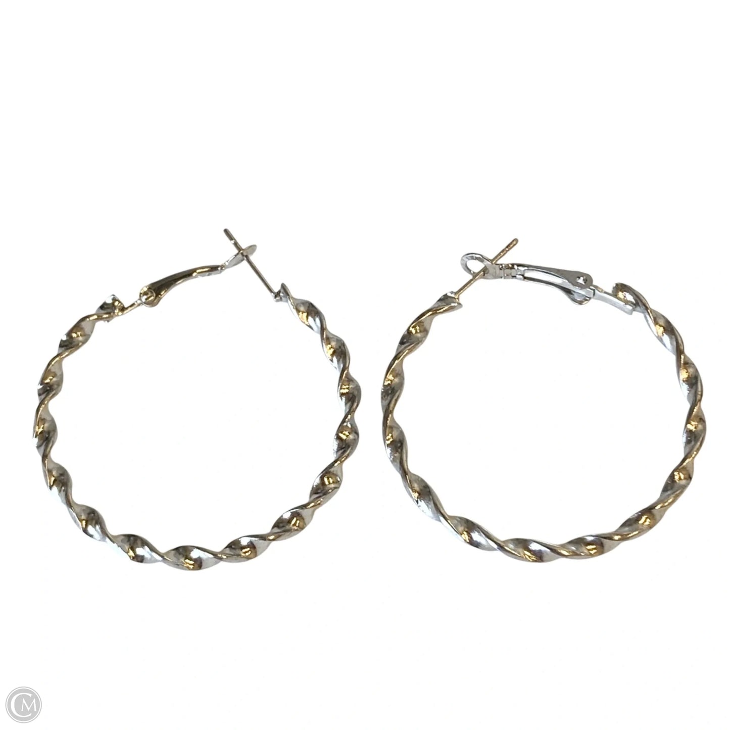 Earrings Hoop