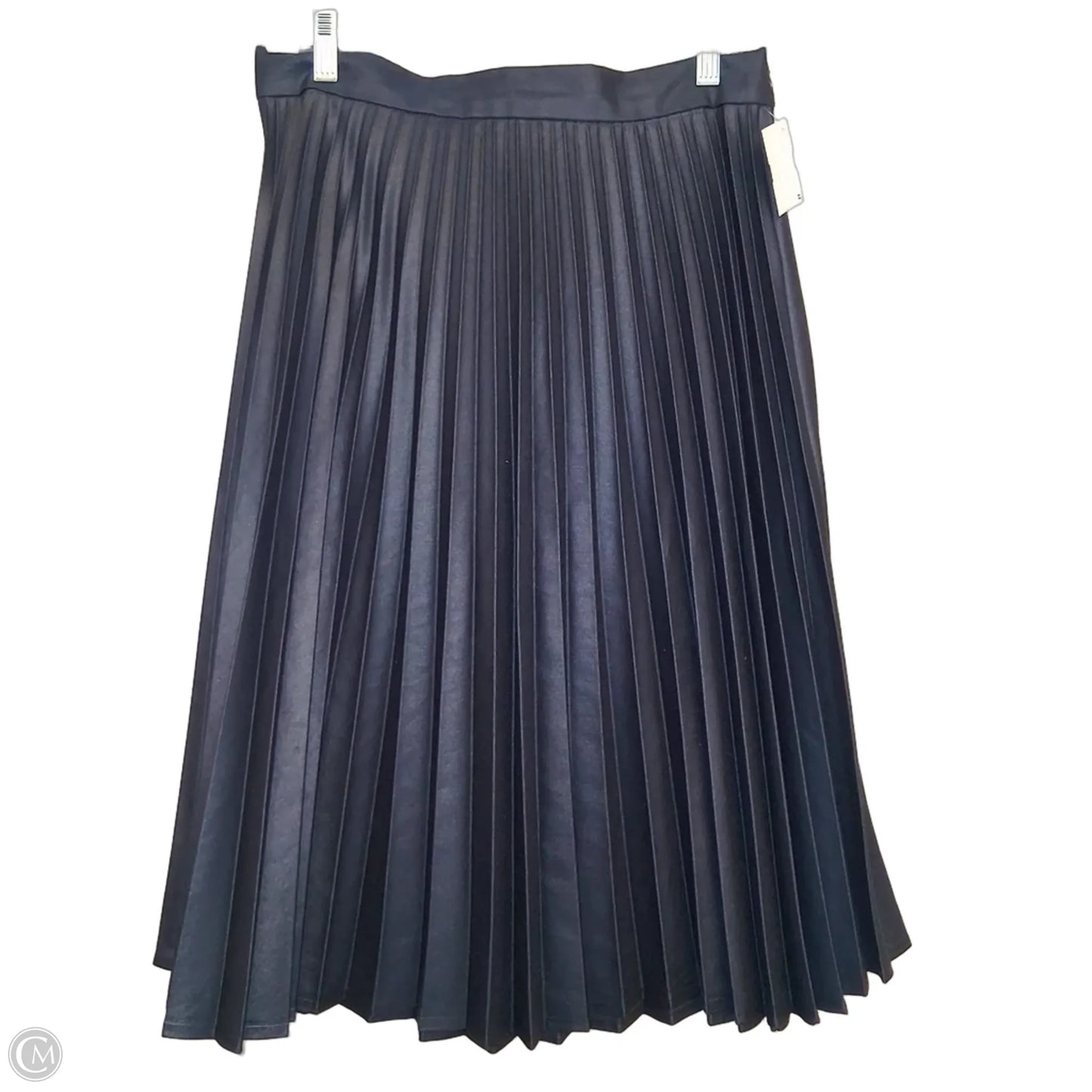 Skirt Midi By Zara Women In Blue, Size: L