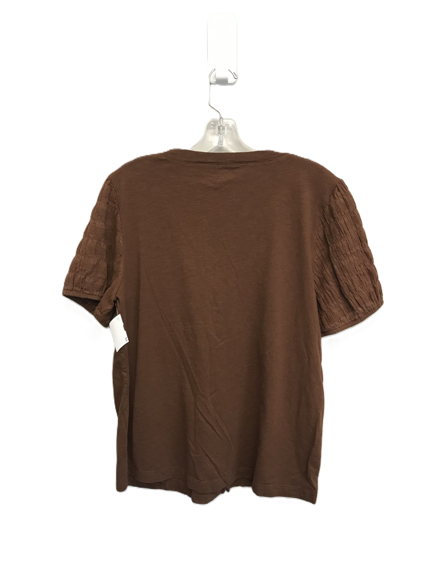 Brown Top Short Sleeve By Lane Bryant, Size: Xl