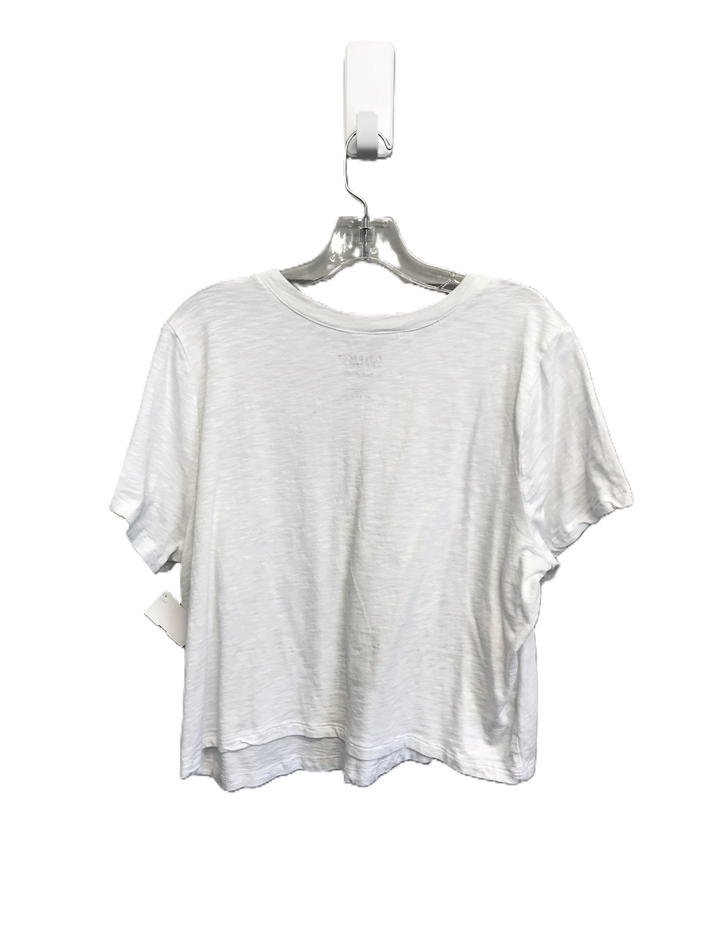 White Top Short Sleeve By Torrid, Size: 2x