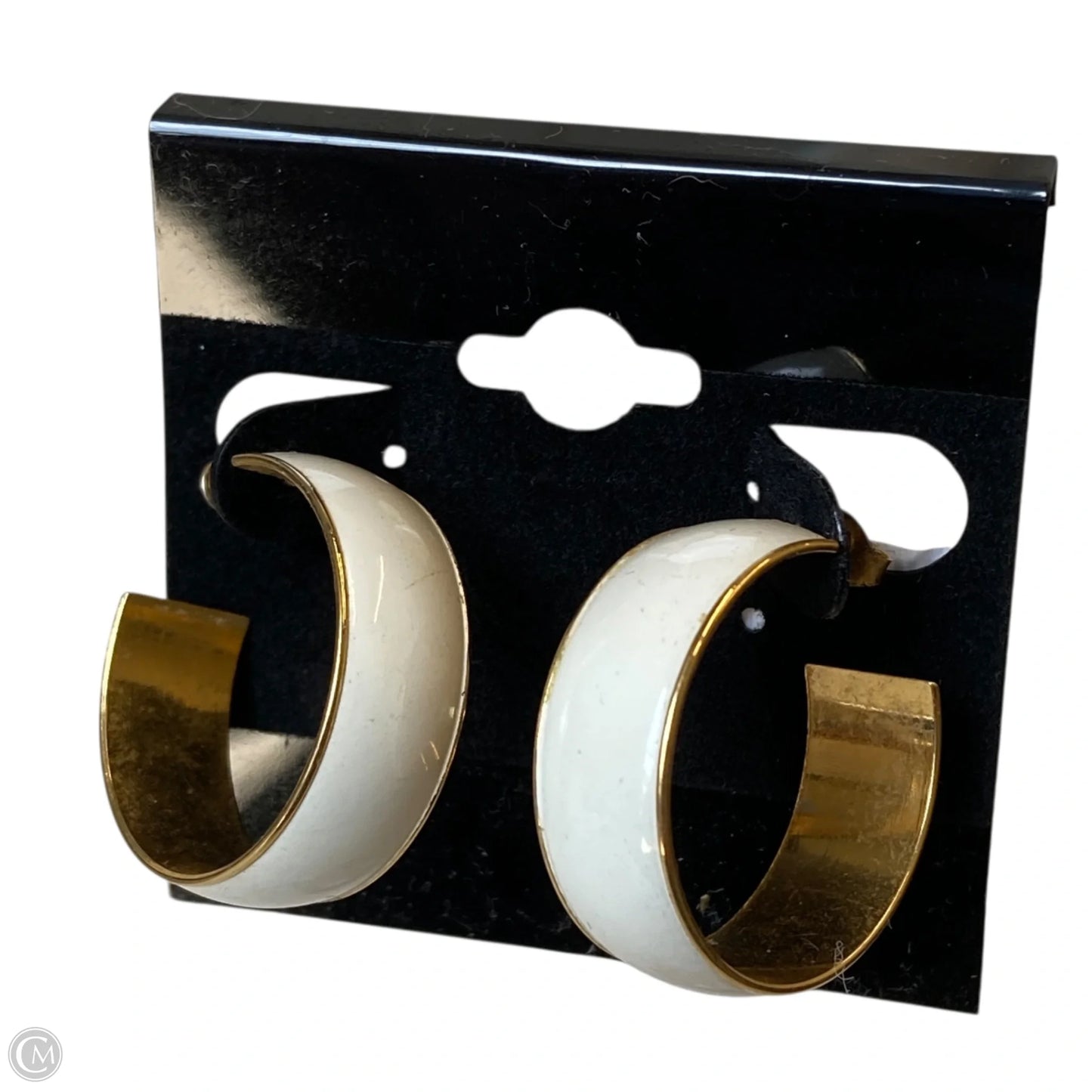 Earrings Hoop