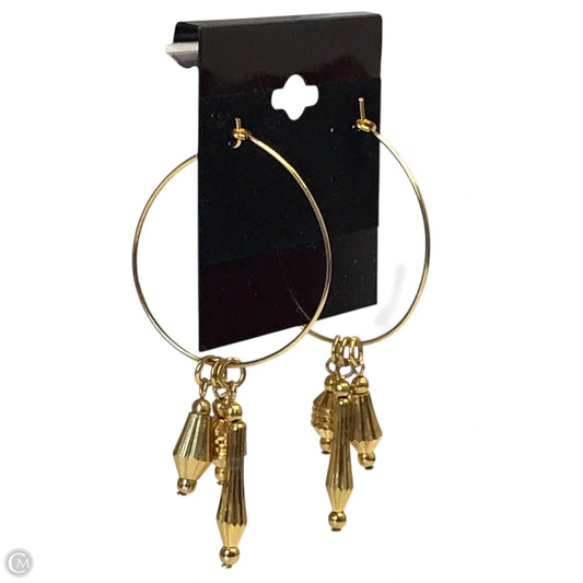 Earrings Other