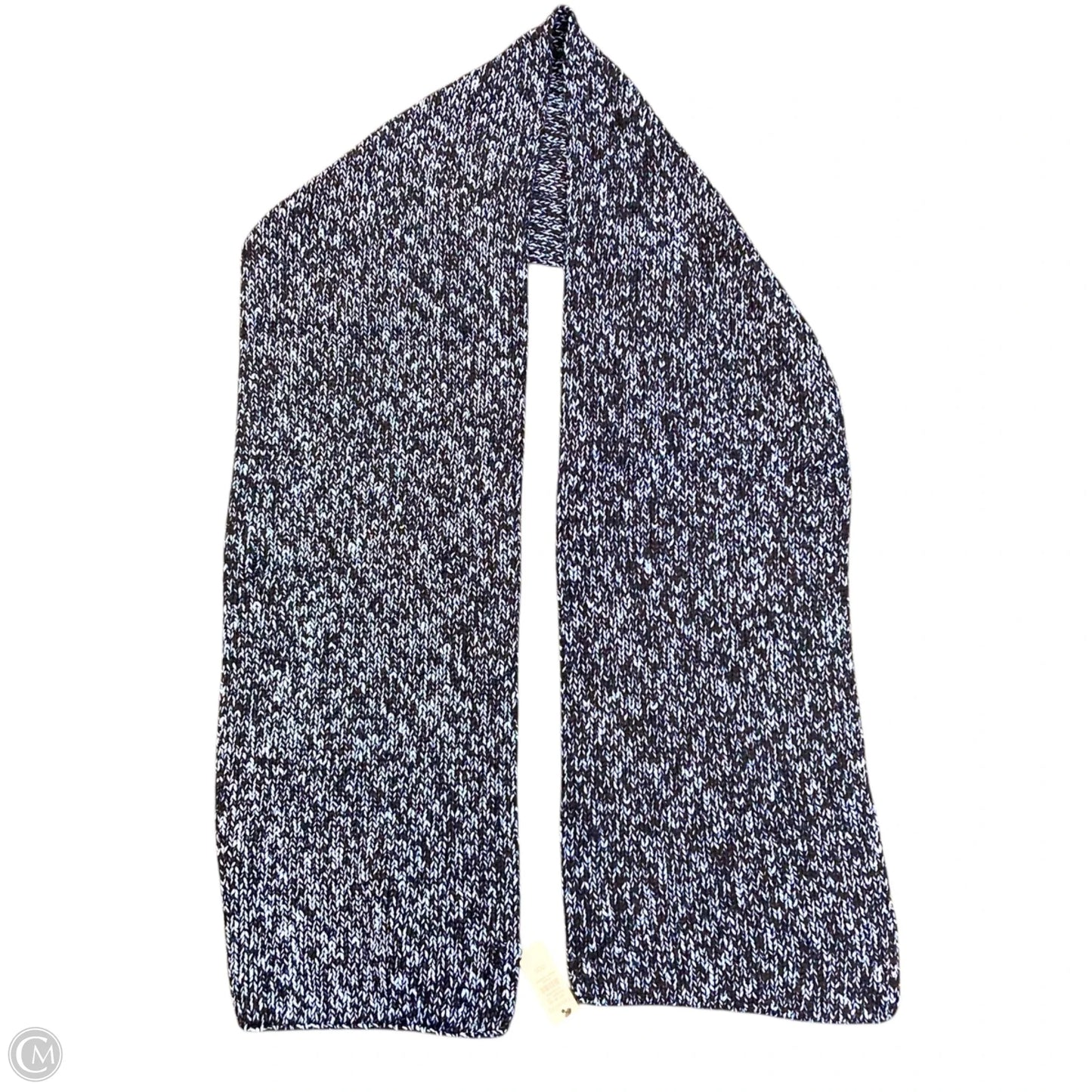 Scarf Winter By Talbots In Blue