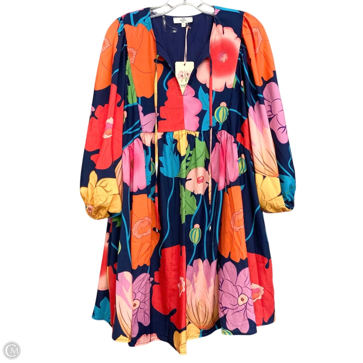 Dress Casual Short By Entro In Blue, Size: M
