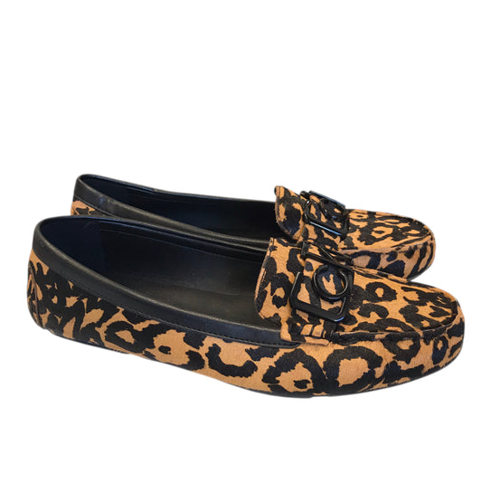 Shoes Flats By Calvin Klein In Animal Print, Size:8.5