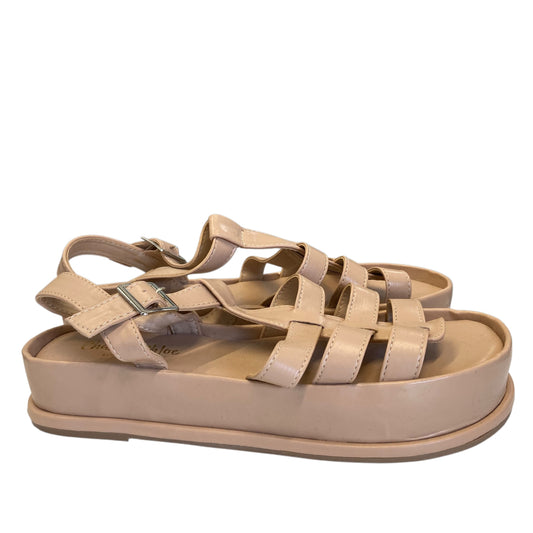 Sandals Flats by Chase & Chloe In Tan, Size:10
