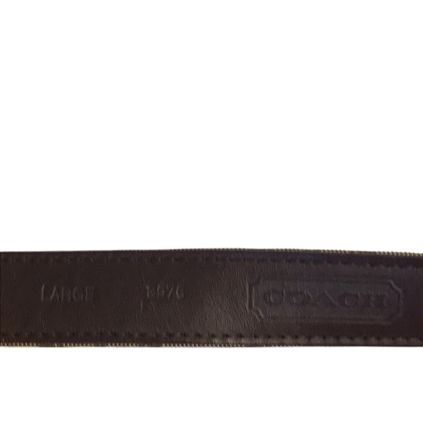 Belt Designer By Coach In Brown